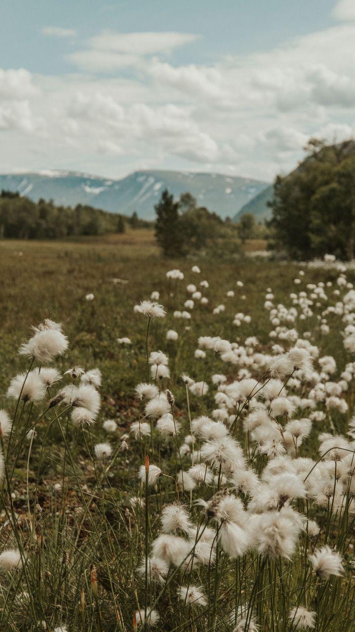 Solar Terralis workshop space where corporate flower arrangements are designed and prepared for business delivery
